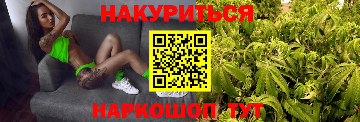 Бошки Шишки OG Kush  МАРИХУАНА VHQ  Марихуана планчик  Вход с VPN  Вичуга 
